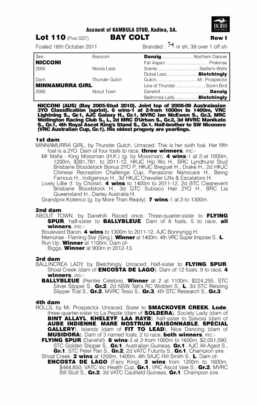 Nicconi (AUS) / Minnamurra Girl (AUS) - pedigree