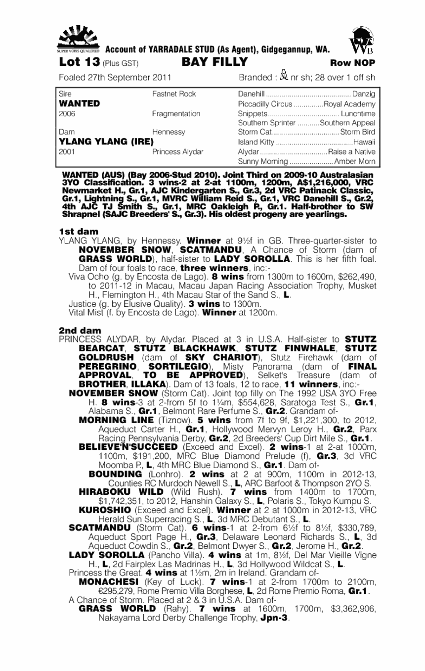 Beautiful Assassin (AUS) - pedigree