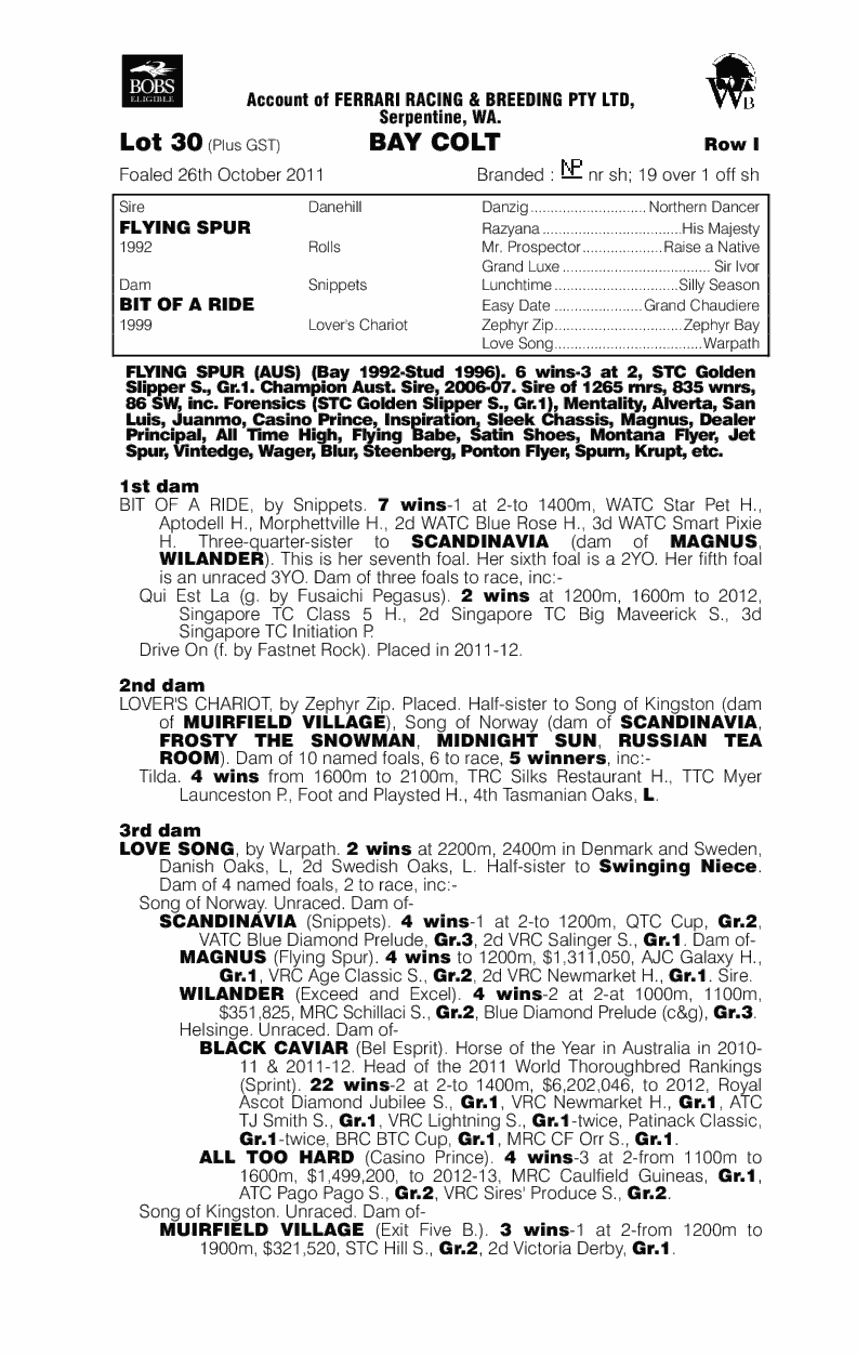 Boom Time (AUS) - pedigree