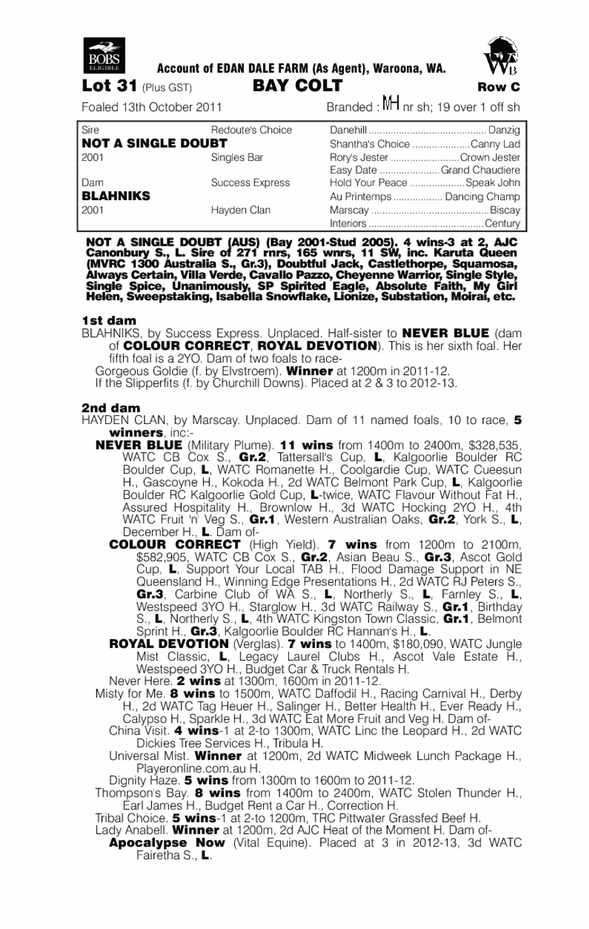 Berlutti (AUS) - pedigree