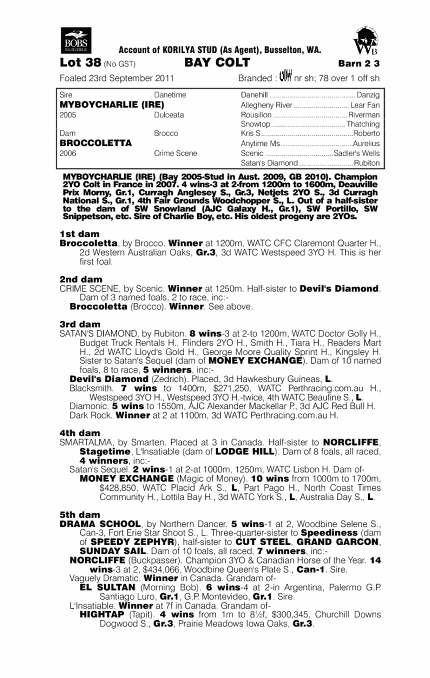 Lucky Charlie (AUS) - pedigree