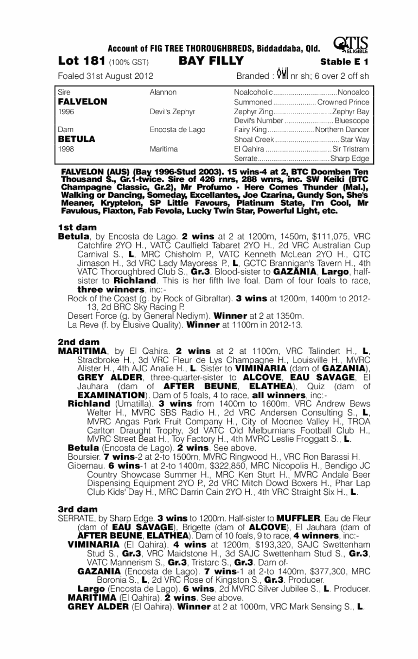 Mystic Falls (AUS) - pedigree