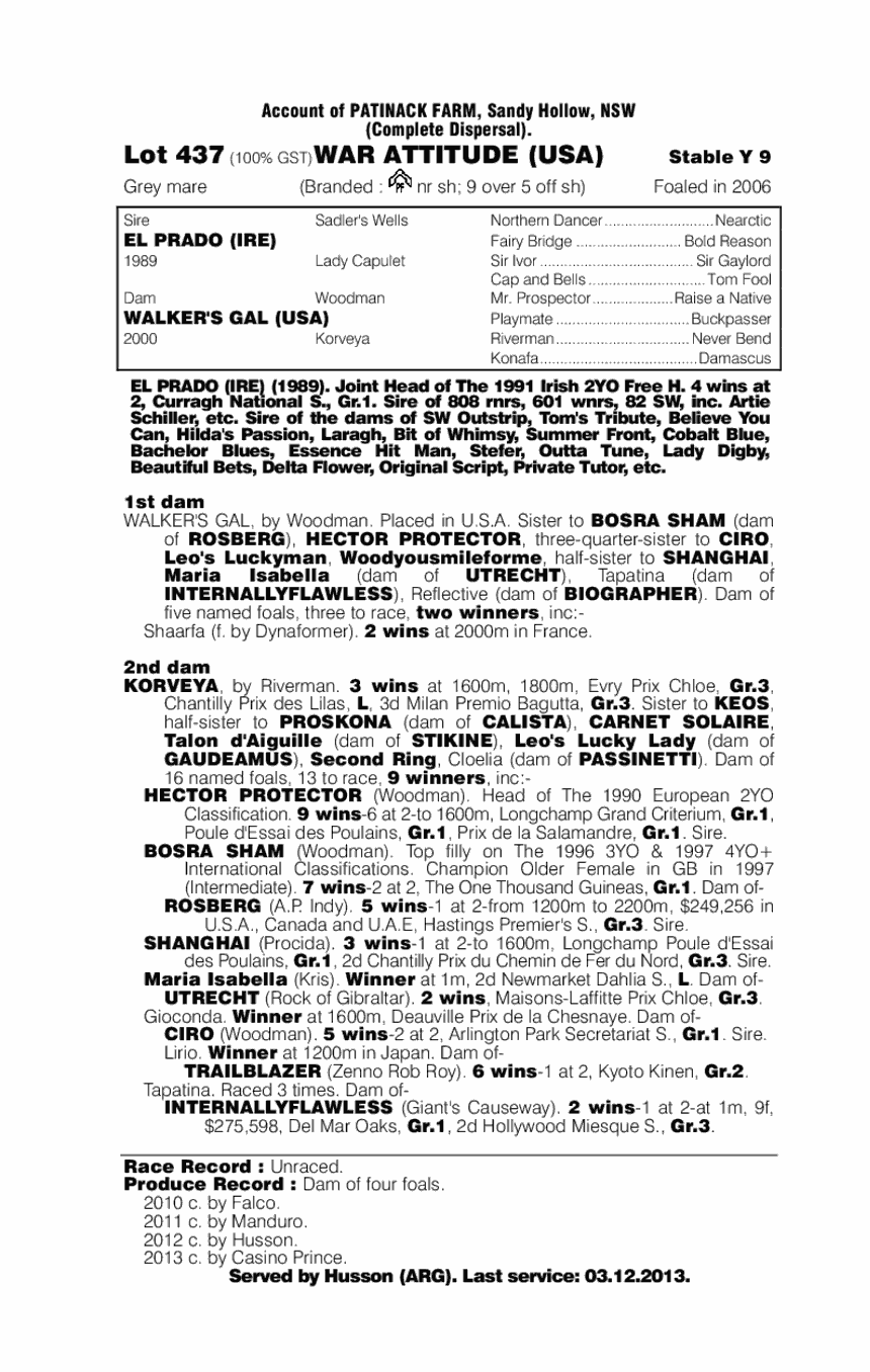 War Attitude (USA) - pedigree