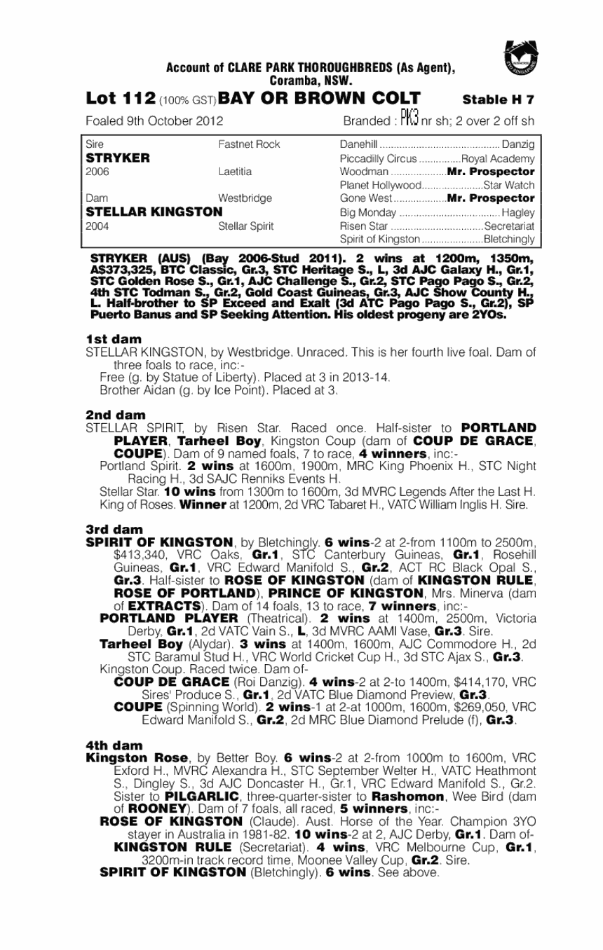 Stryker (AUS) / Stellar Kingston (AUS) - pedigree