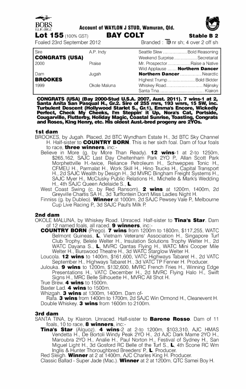 Congrats (USA) / Brookes (AUS) - pedigree
