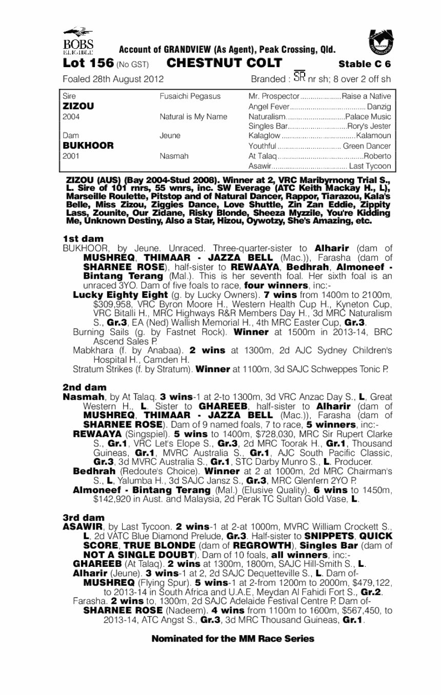 Zizou Warrior (AUS) - pedigree