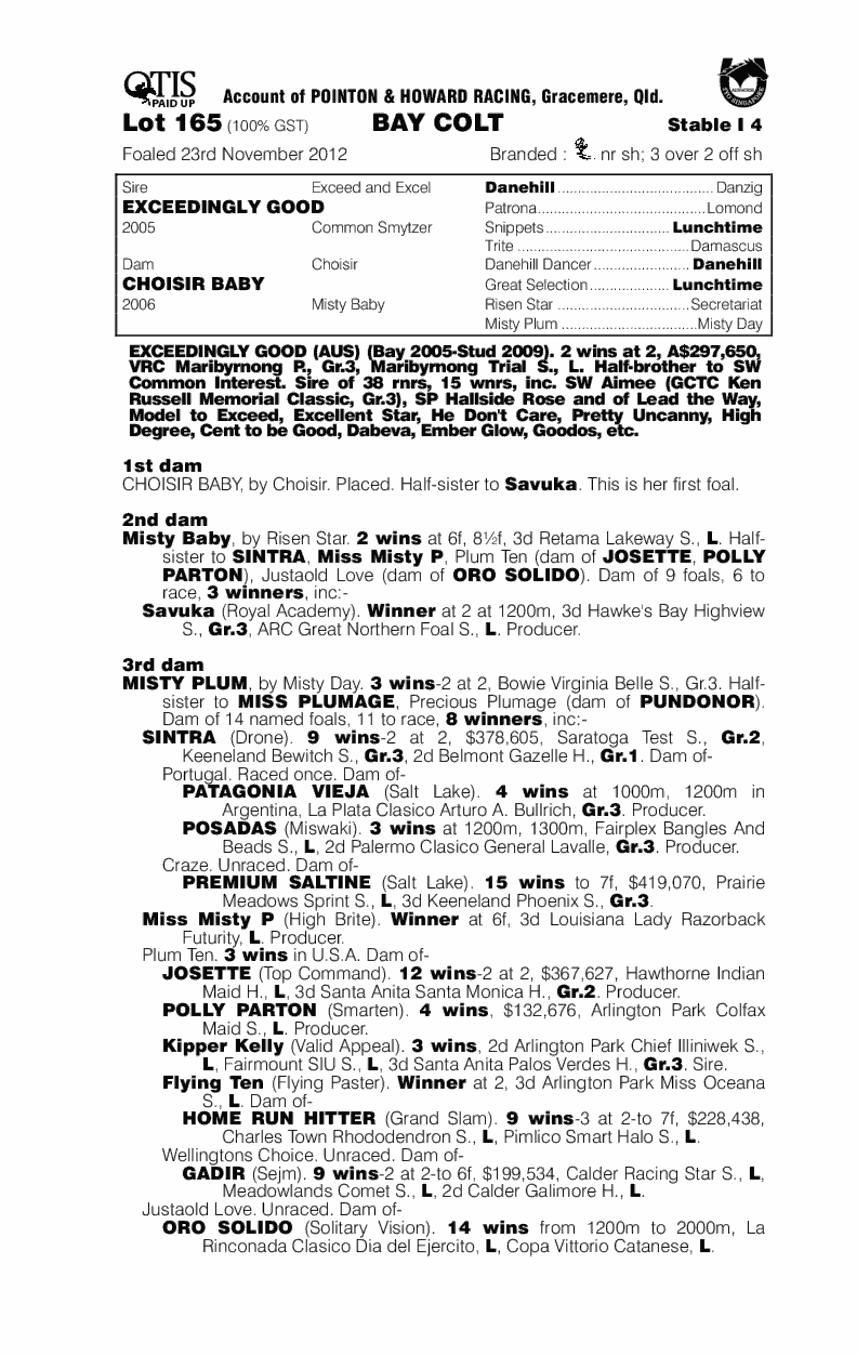 High Cost (AUS) - pedigree