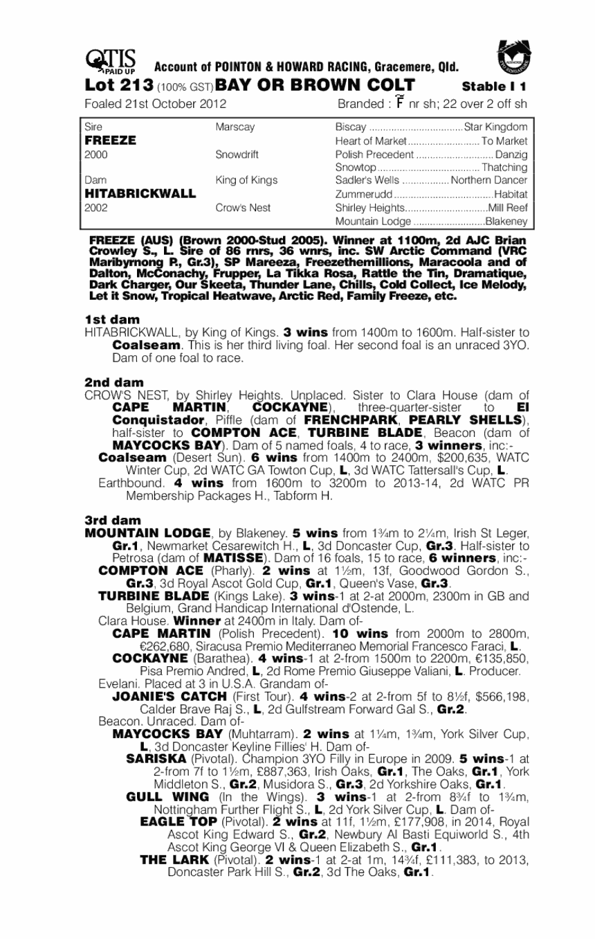 Freeze (AUS) / Hitabrickwall (AUS) - pedigree