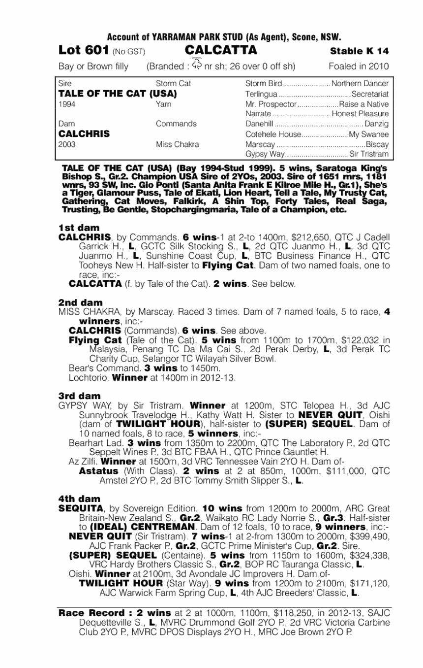 Calcatta (AUS) - pedigree