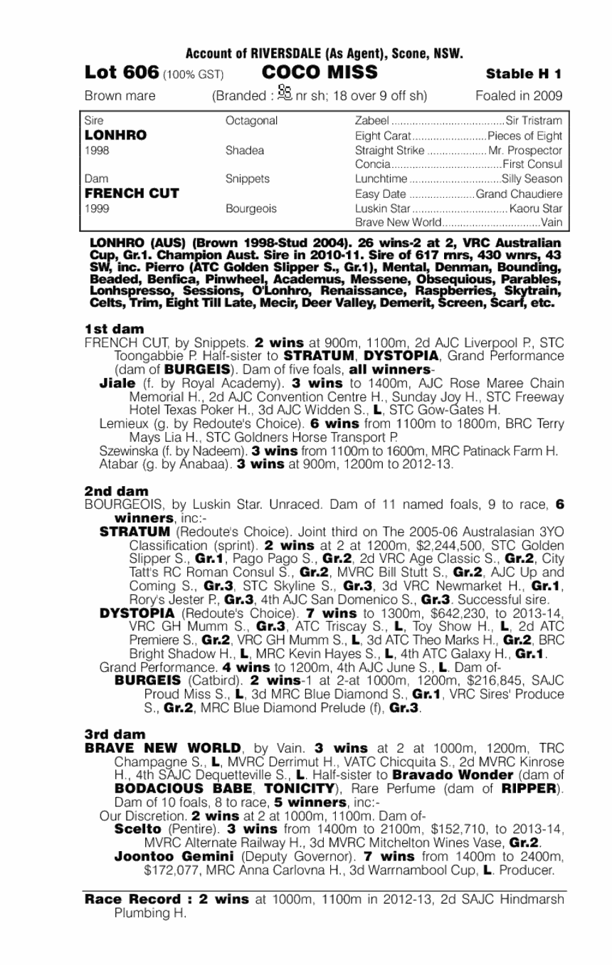 Coco Miss (AUS) - pedigree