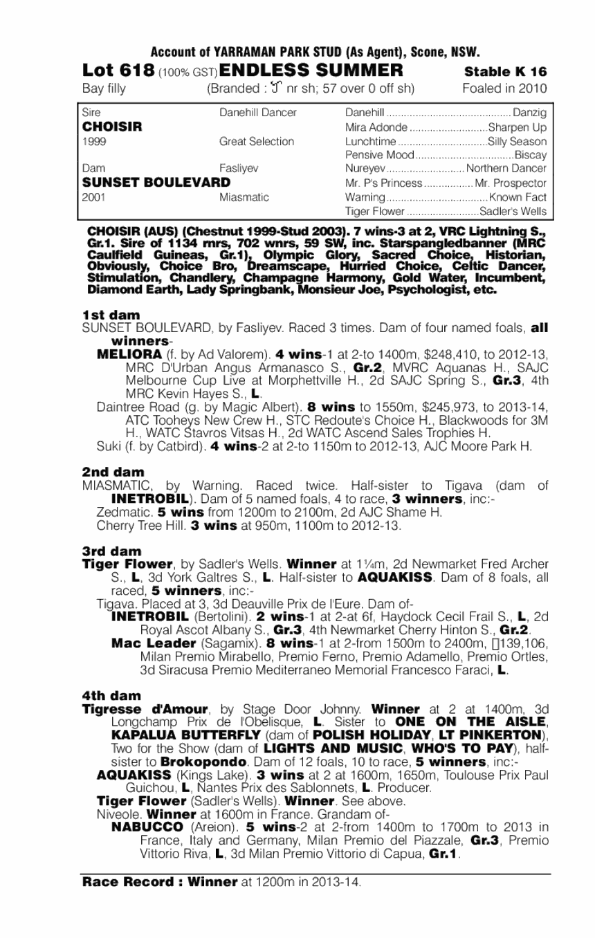 Endless Summer (AUS) - pedigree