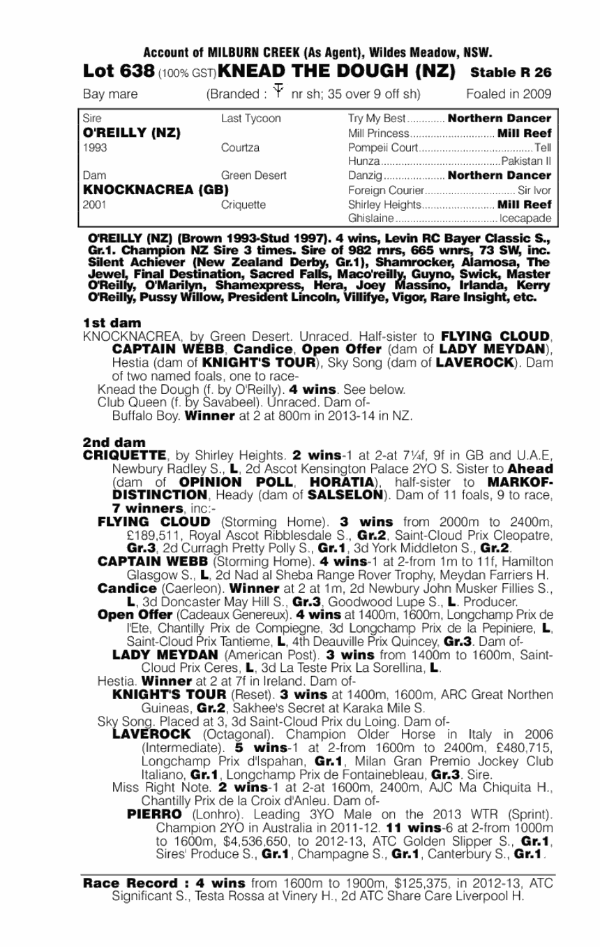 Knead the Dough (NZ) - pedigree