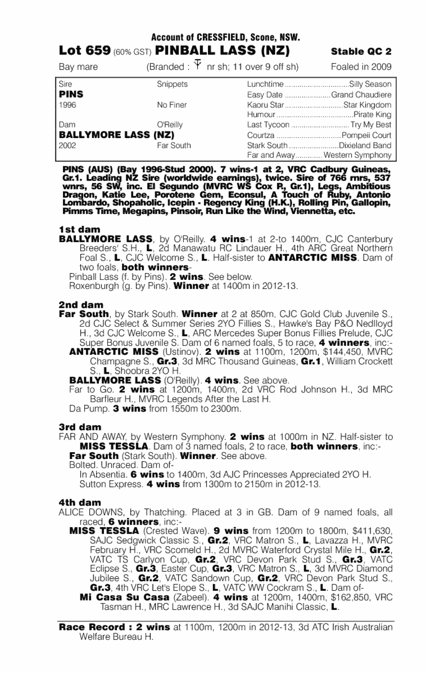 Pinball Lass (NZ) - pedigree