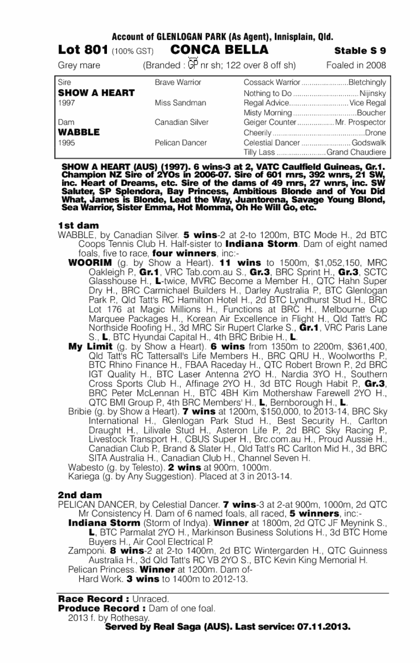 Conca Bella (AUS) - pedigree
