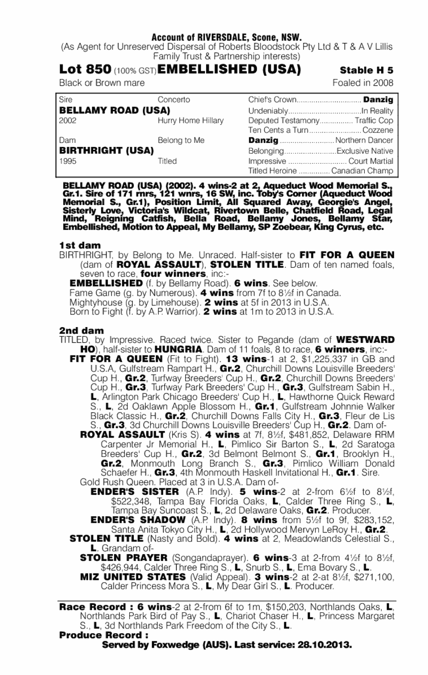 Embellished (USA) - pedigree