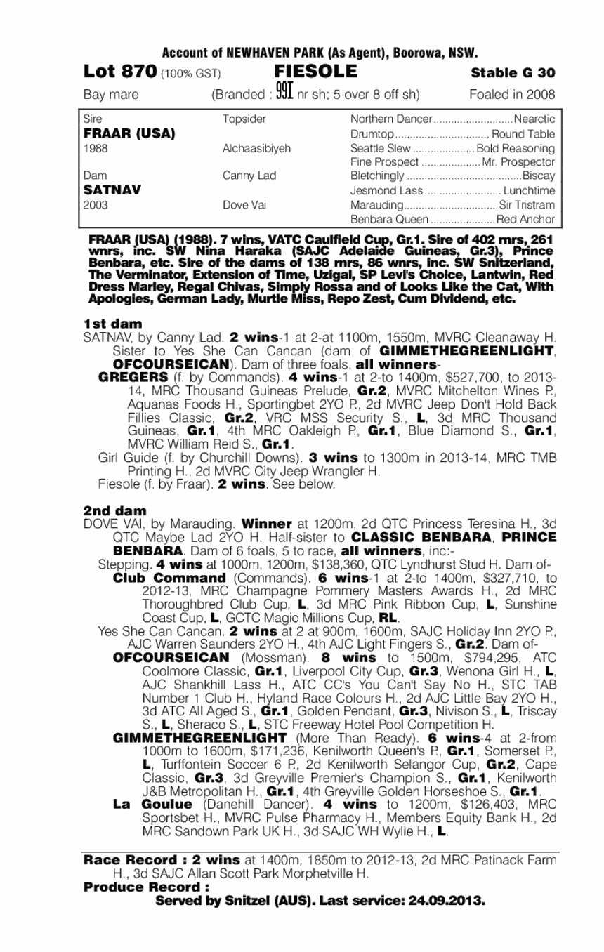 Fiesole (AUS) - pedigree