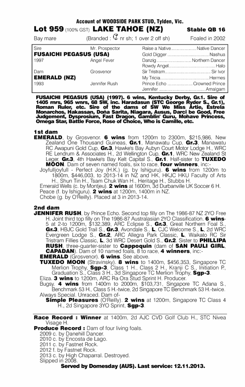 Lake Tahoe (NZ) - pedigree