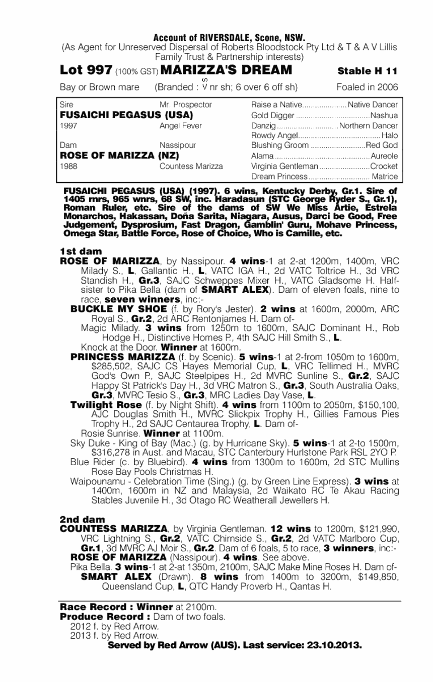 Marizza's Dream (AUS) - pedigree