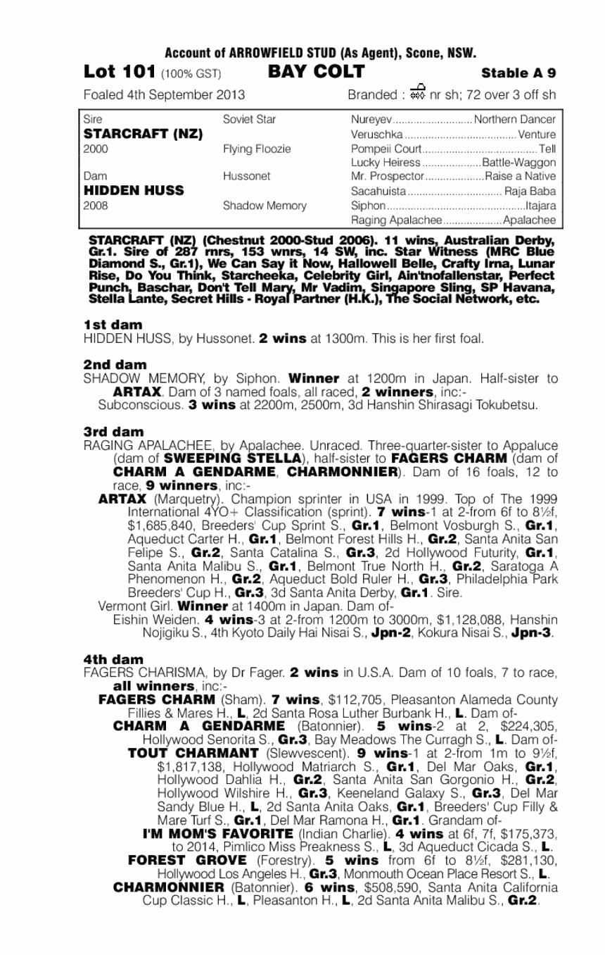 Starcraft (NZ) / Hidden Huss (AUS) - pedigree