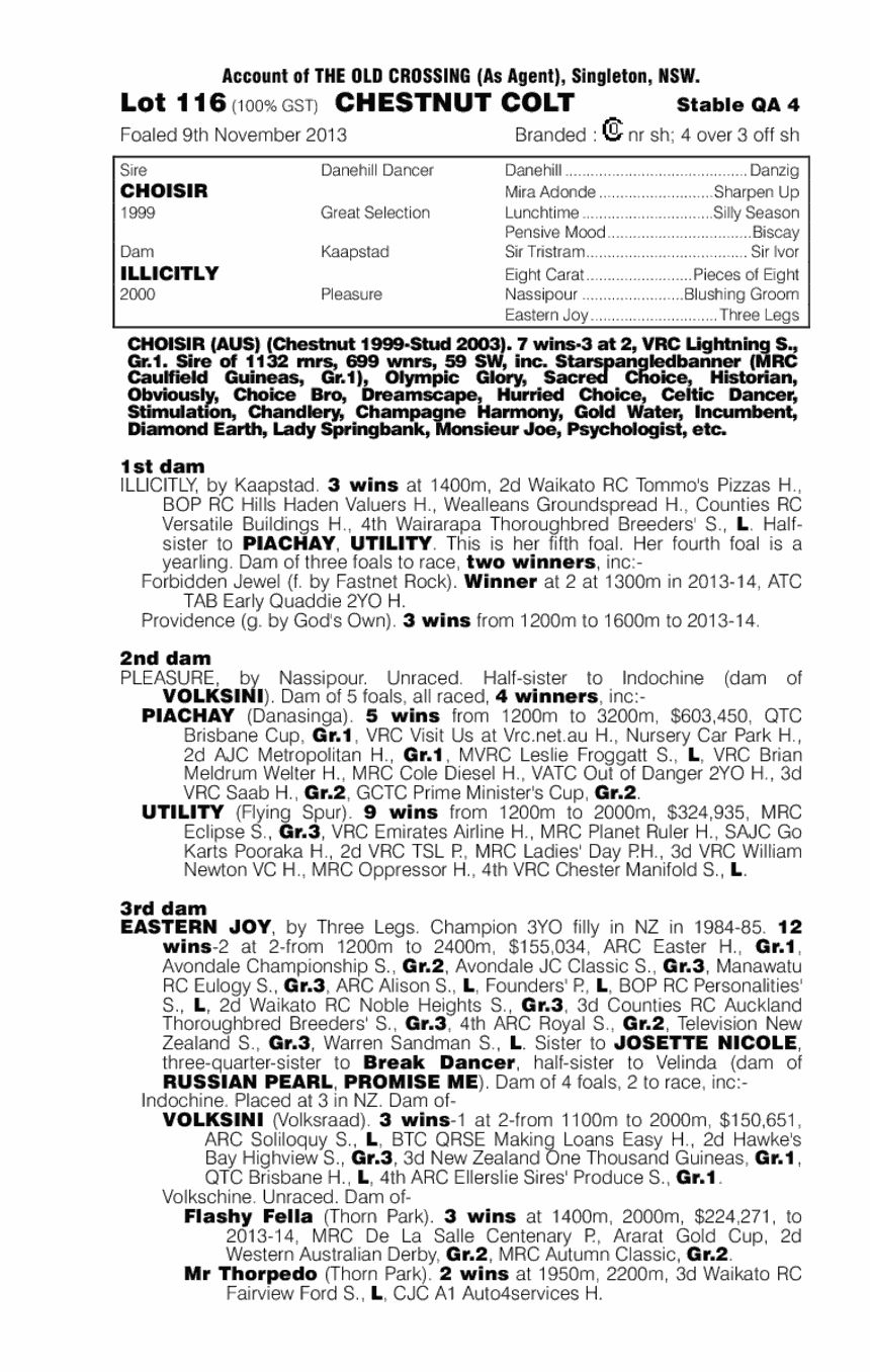 Choisir Socks (AUS) - pedigree