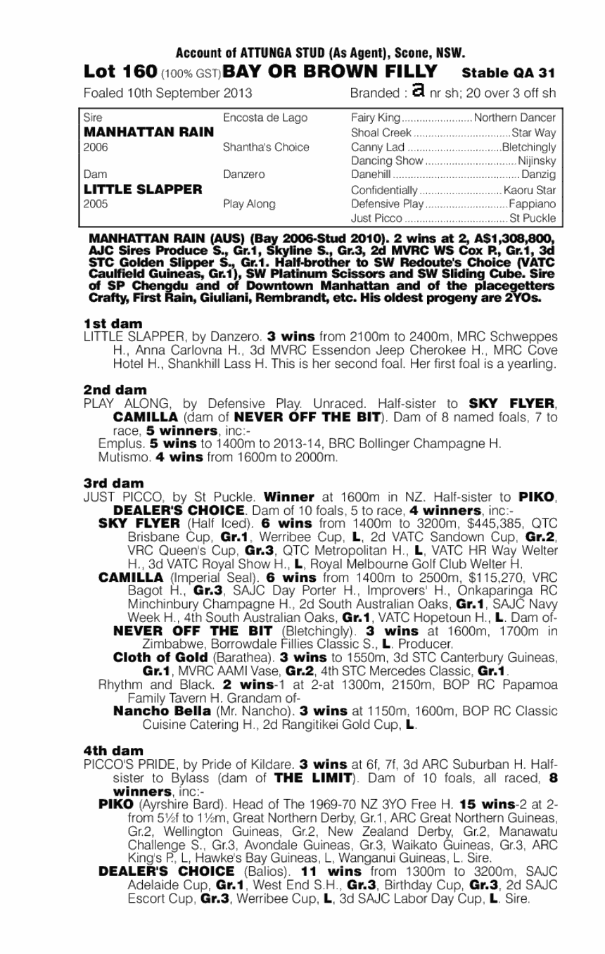 Manhattan Rain (AUS) / Little Slapper (AUS) - pedigree