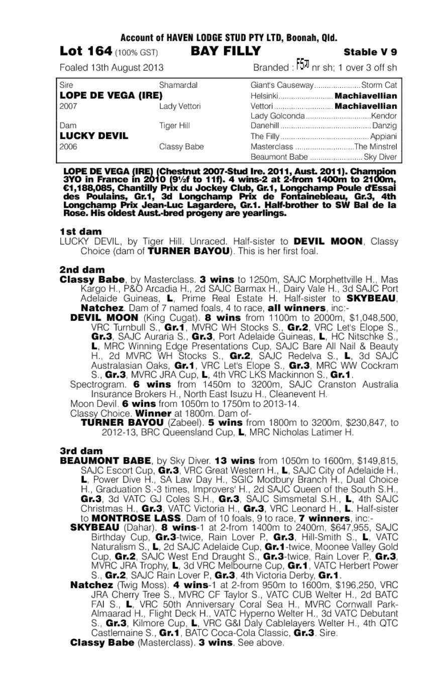 Classy Vega (AUS) - pedigree