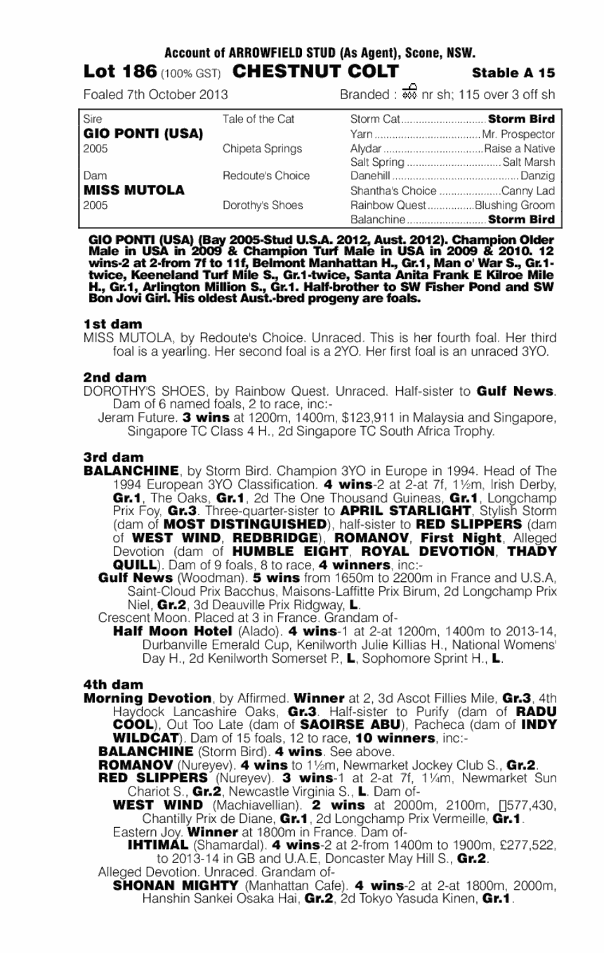 Gio Ponti (USA) / Miss Mutola (AUS) - pedigree