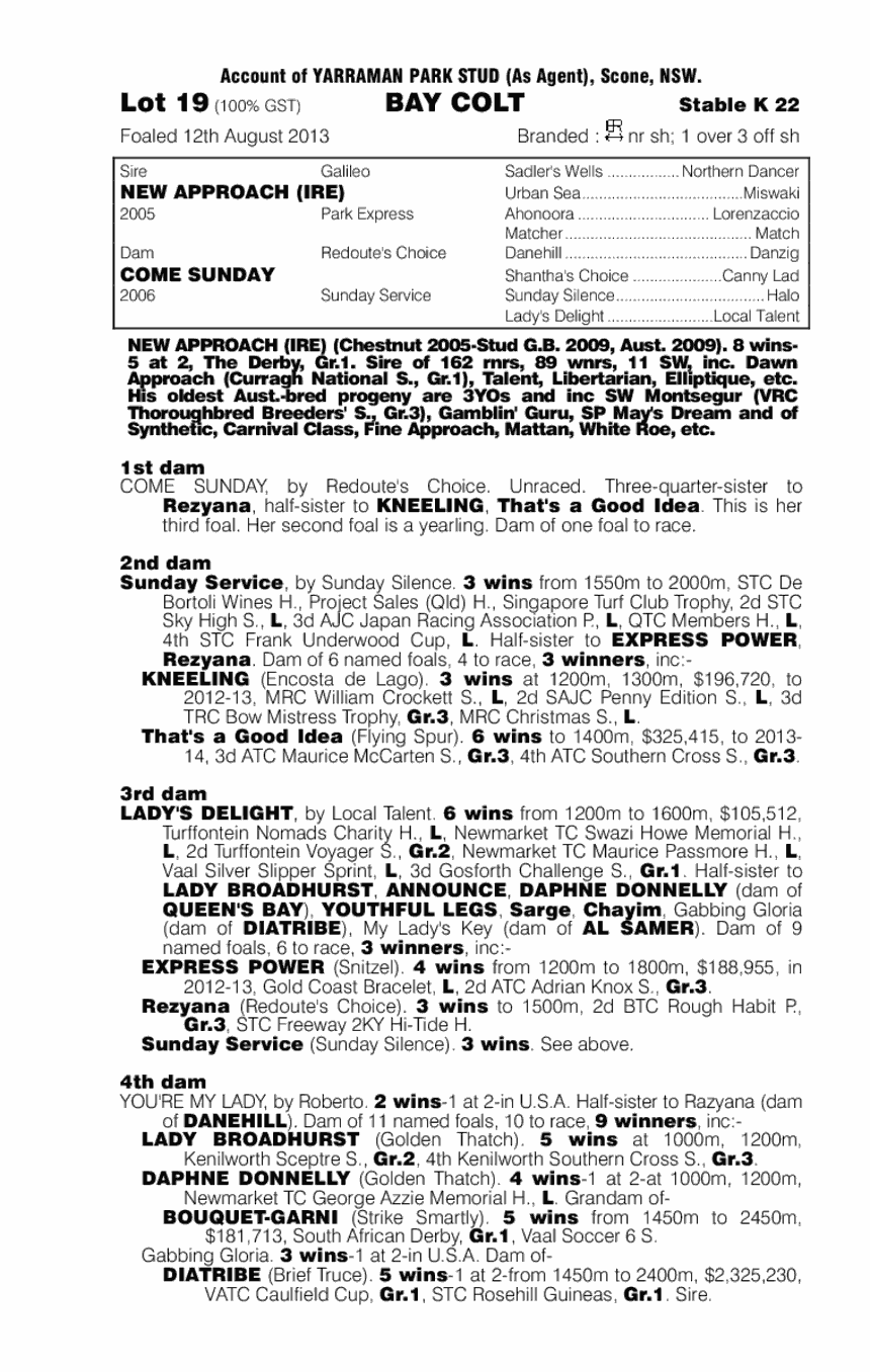 New Approach (IRE) / Come Sunday (AUS) - pedigree