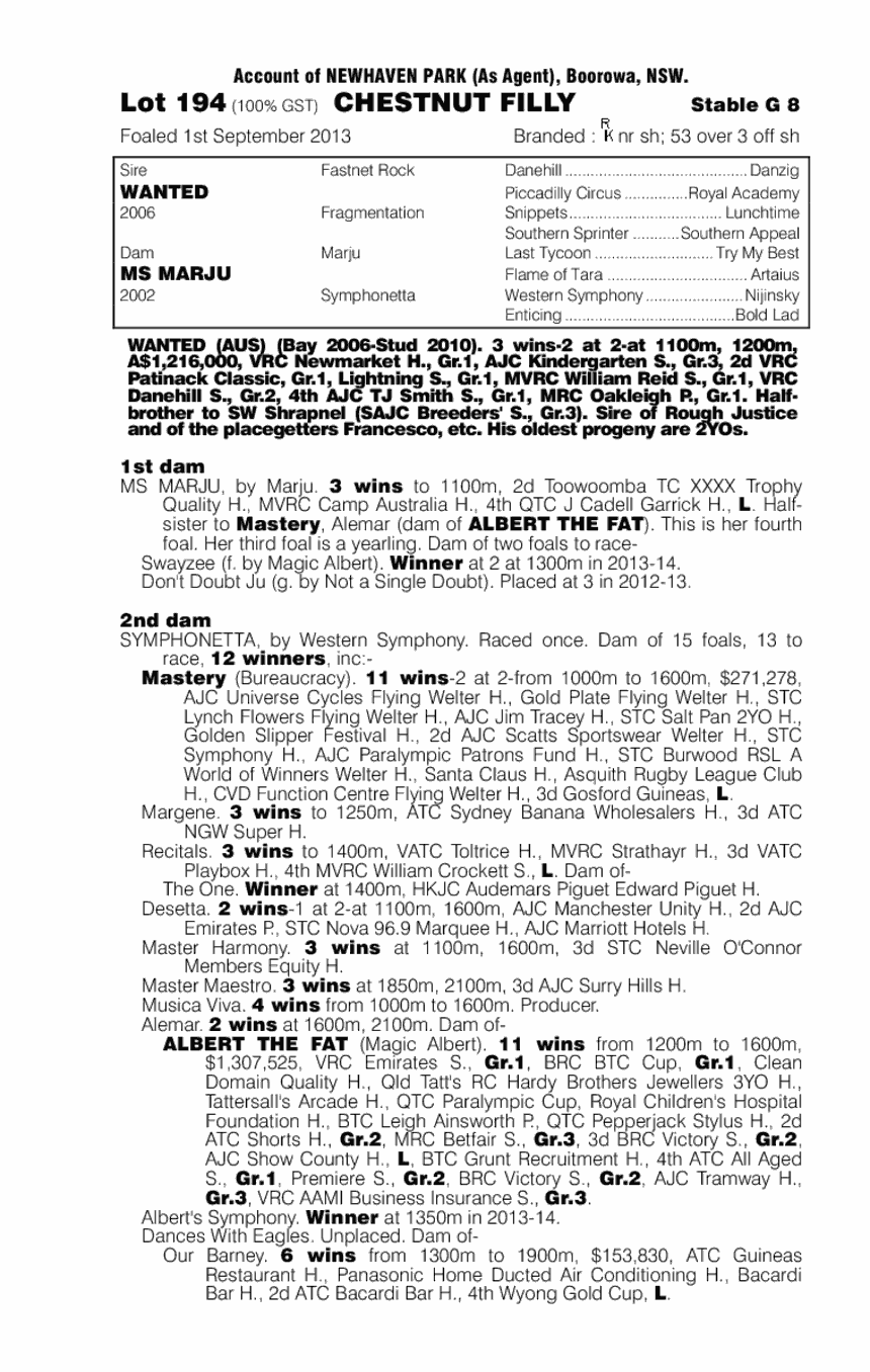 Blue Tulip (AUS) - pedigree