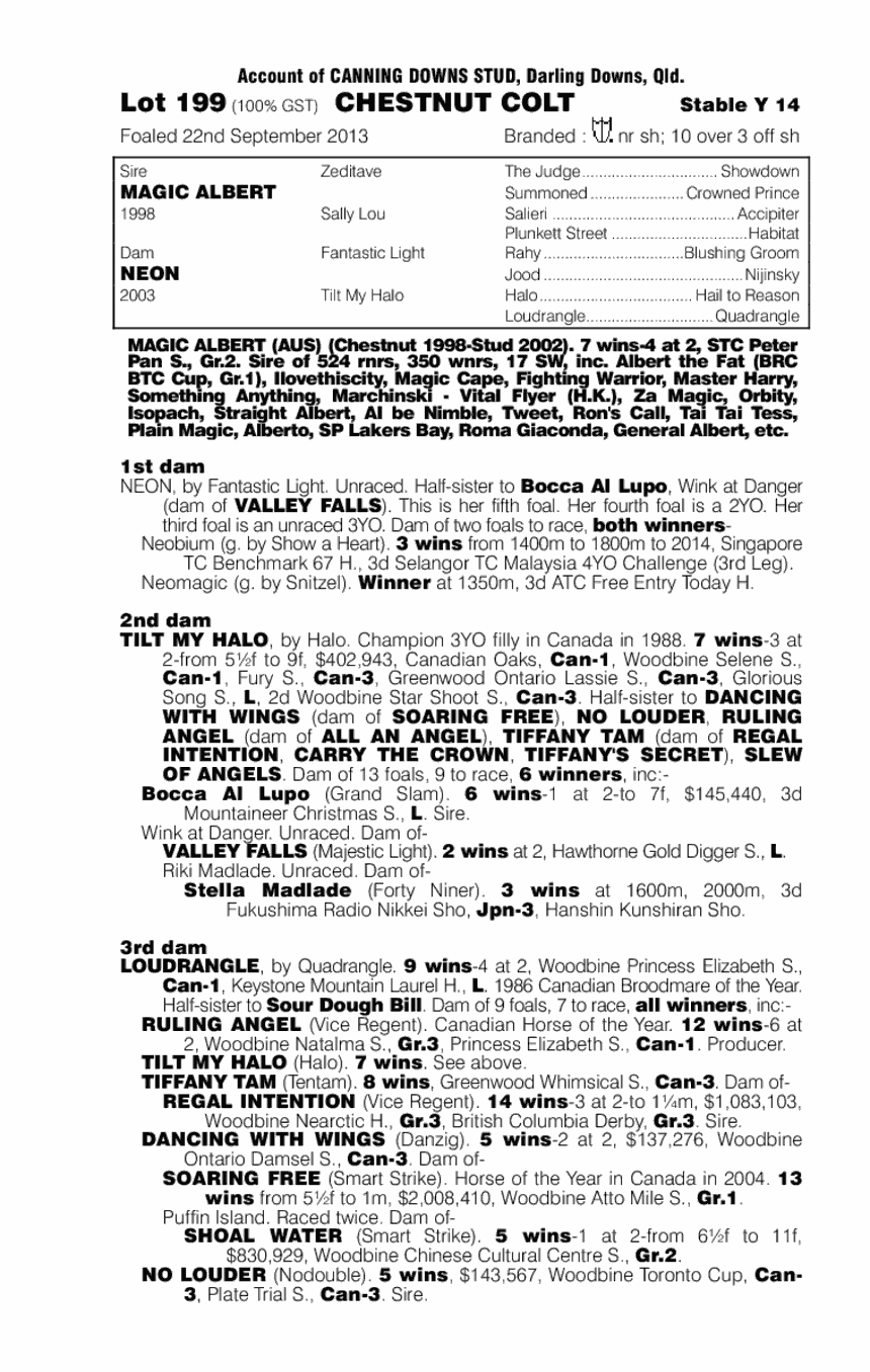 Magic Albert (AUS) / Neon (AUS) - pedigree