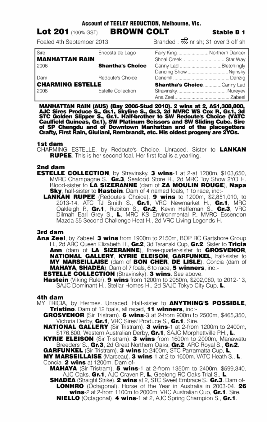 Manhattan Rain (AUS) / Charming Estelle (AUS) - pedigree