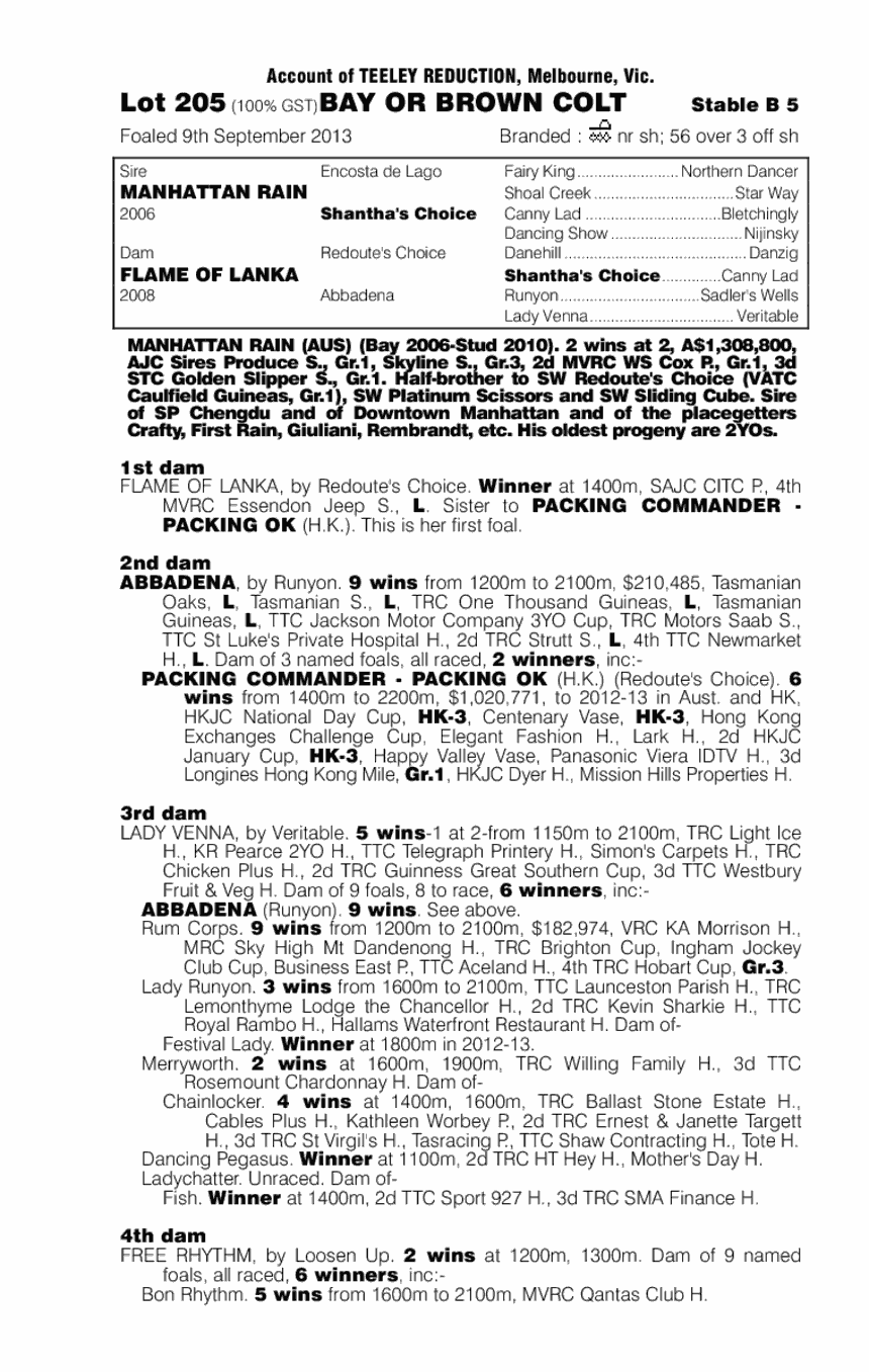 Manhattan Rain (AUS) / Flame of Lanka (AUS) - pedigree