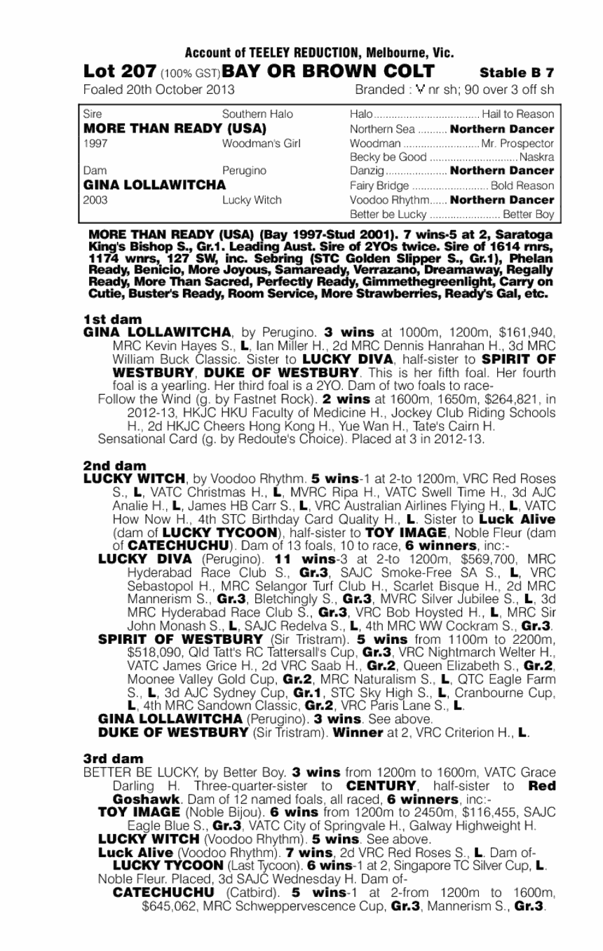 More Than Ready (USA) / Gina Lollawitcha (AUS) - pedigree