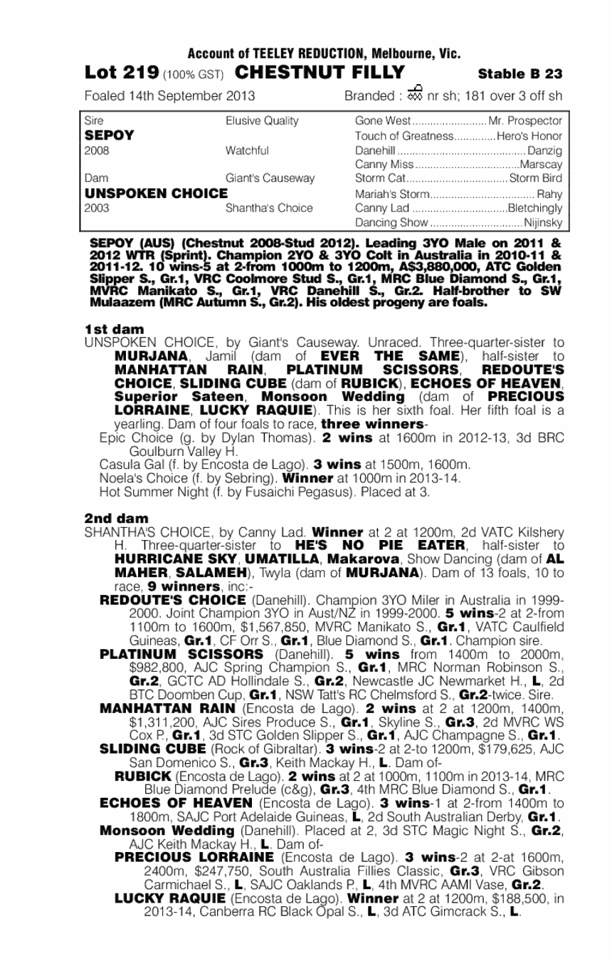 Without Saying (AUS) - pedigree