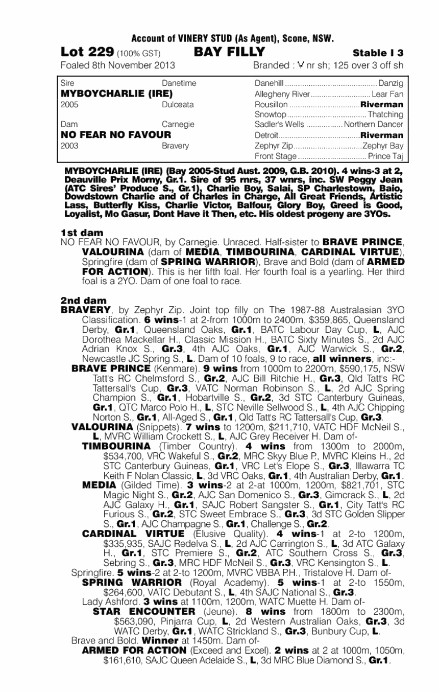Myboycharlie (IRE) / No Fear No Favour (AUS) - pedigree