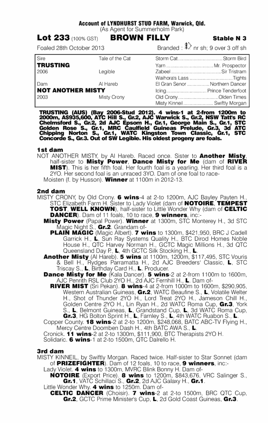 Trusting (AUS) / Not Another Misty (AUS) - pedigree