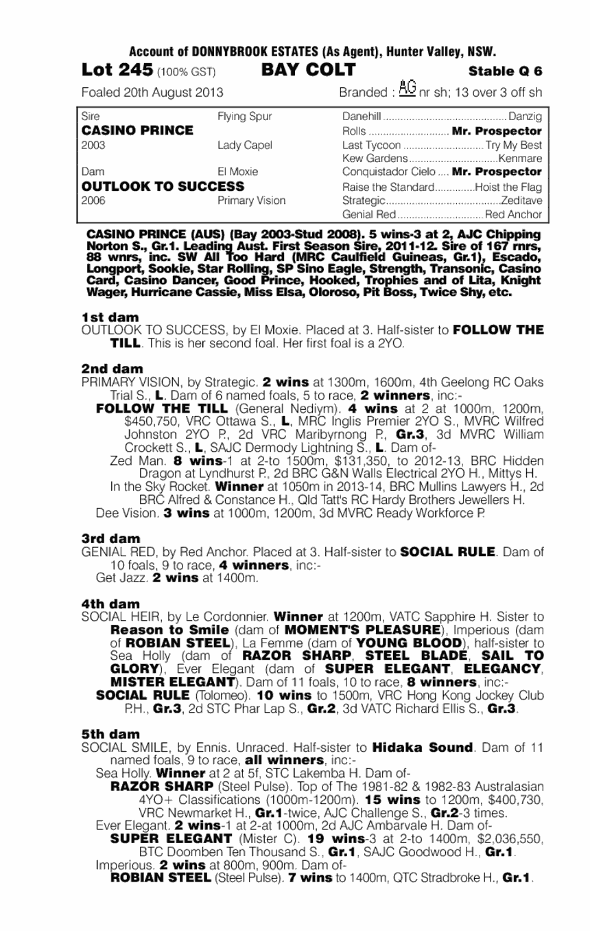 Casino Prince (AUS) / Outlook to Success (AUS) - pedigree