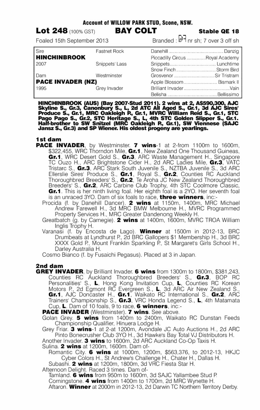 Hinchinbrook (AUS) / Pace Invader (NZ) - pedigree