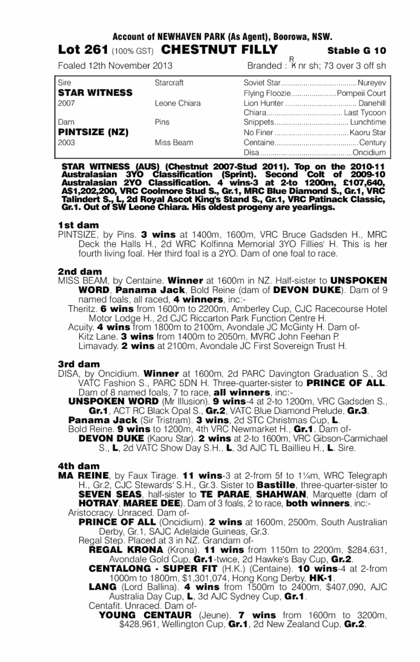 Star Witness (AUS) / Pintsize (NZ) - pedigree