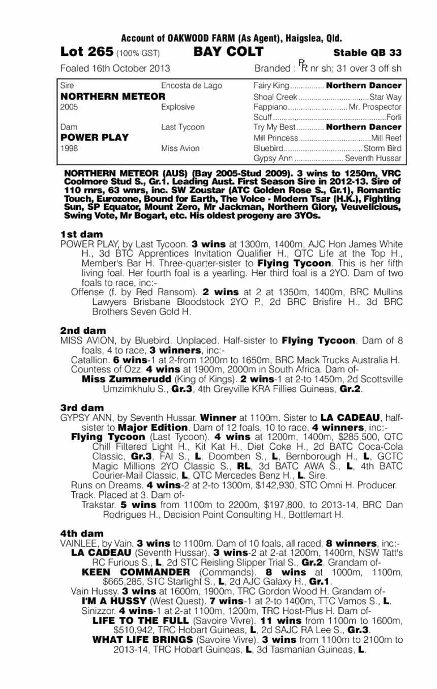 Northern Meteor (AUS) / Power Play (AUS) - pedigree