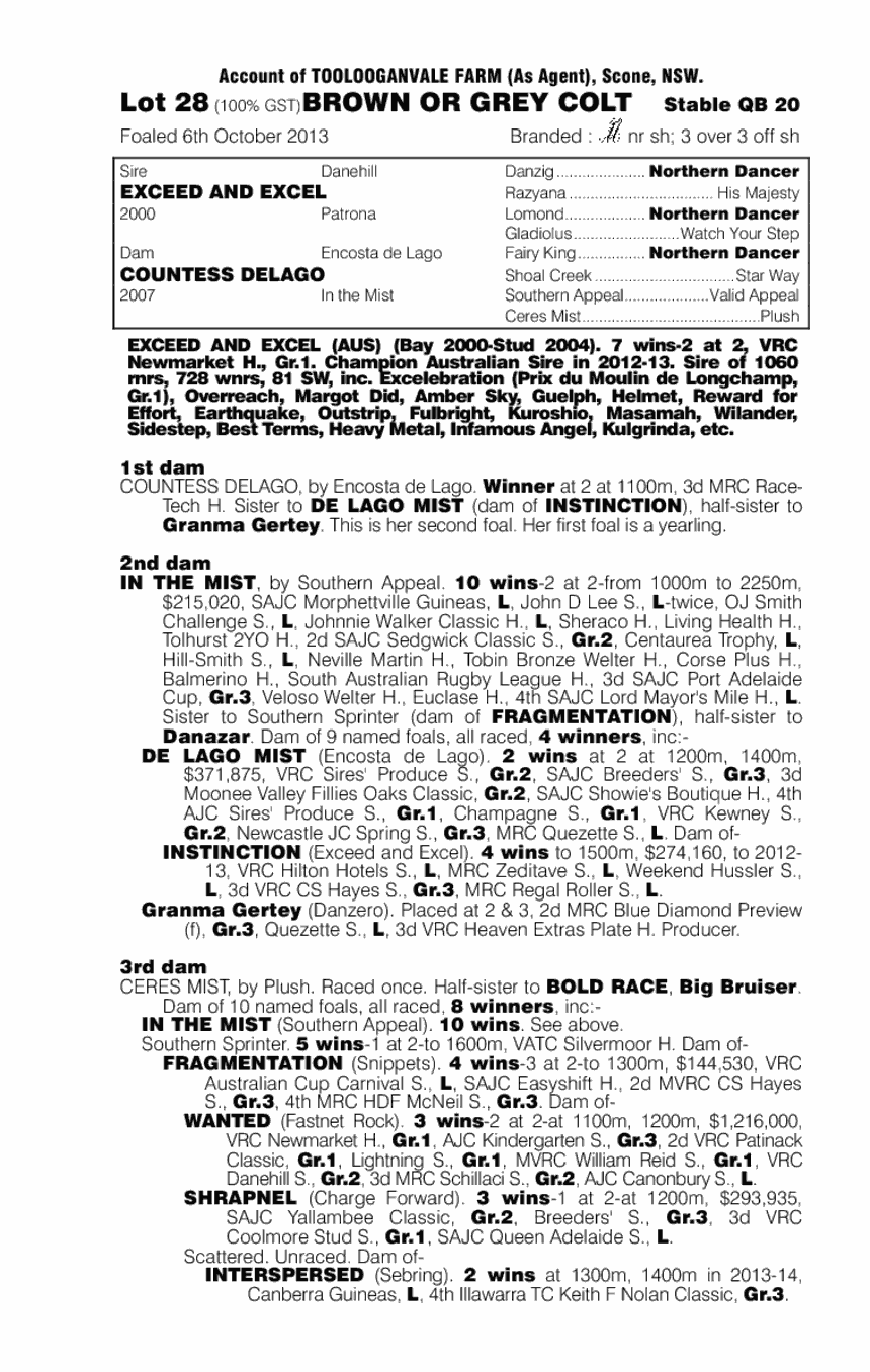 Exceed and Excel (AUS) / Countess Delago (AUS) - pedigree