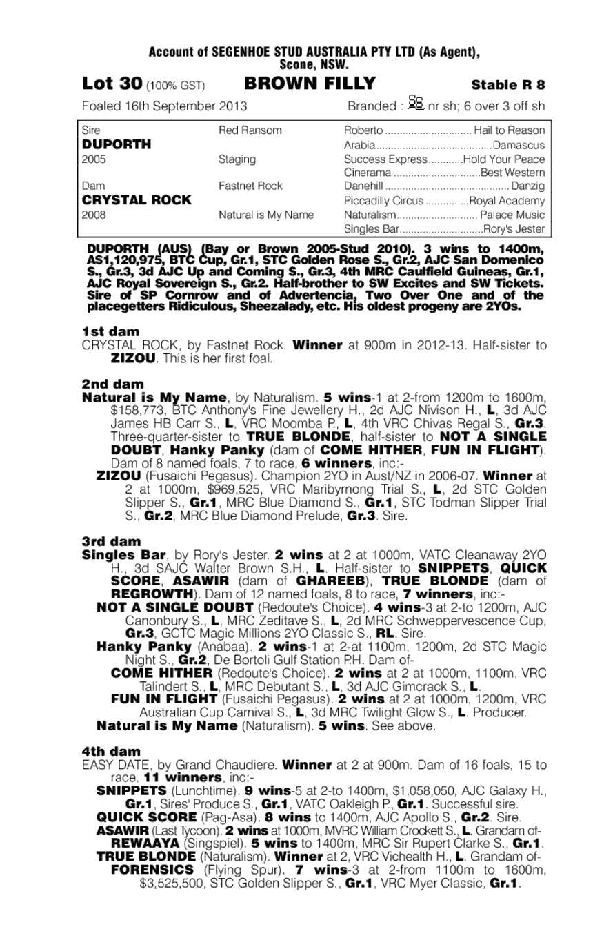 Dunamite (AUS) - pedigree