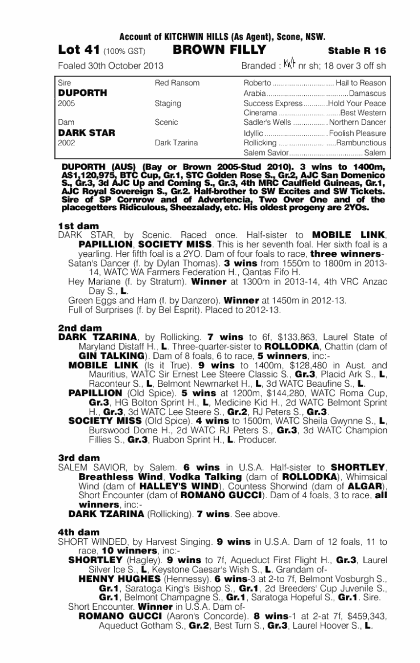 Duporth (AUS) / Dark Star (AUS) - pedigree