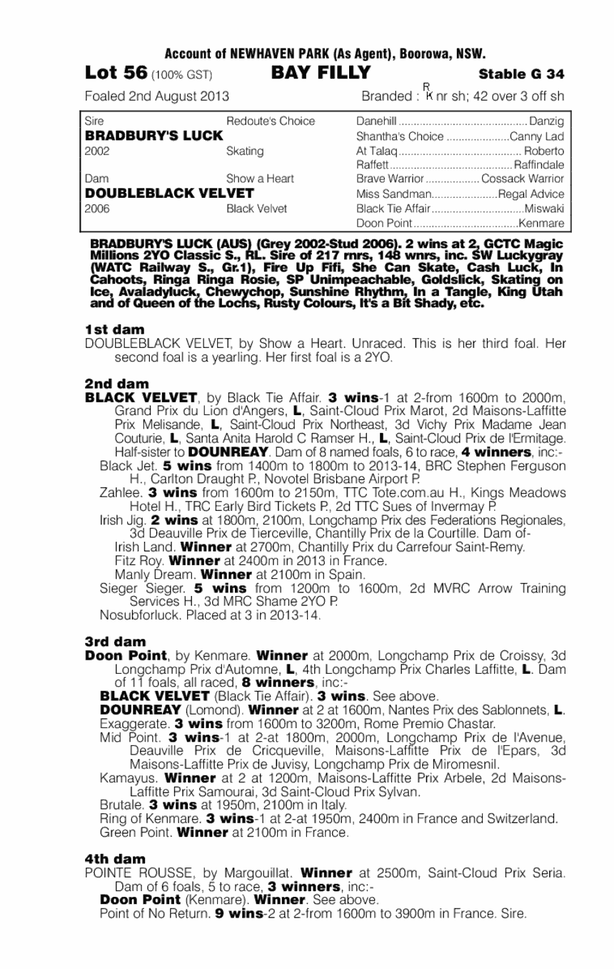 Bradbury's Luck (AUS) / Doubleblack Velvet (AUS) - pedigree