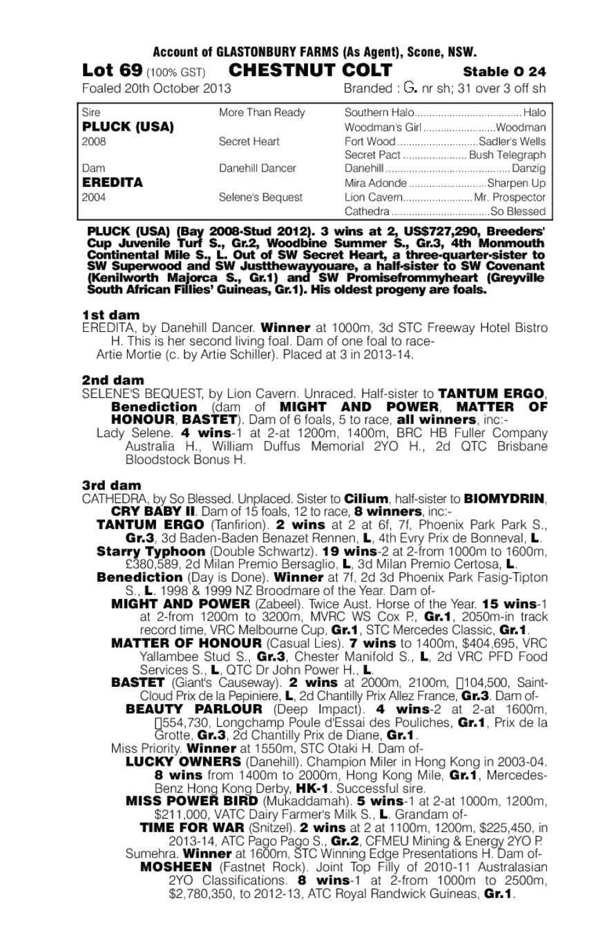 Pluck (USA) / Eredita (AUS) - pedigree