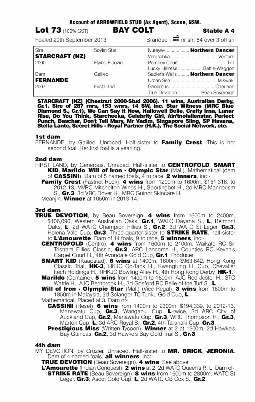 Starcraft (NZ) / Fernande (AUS) - pedigree