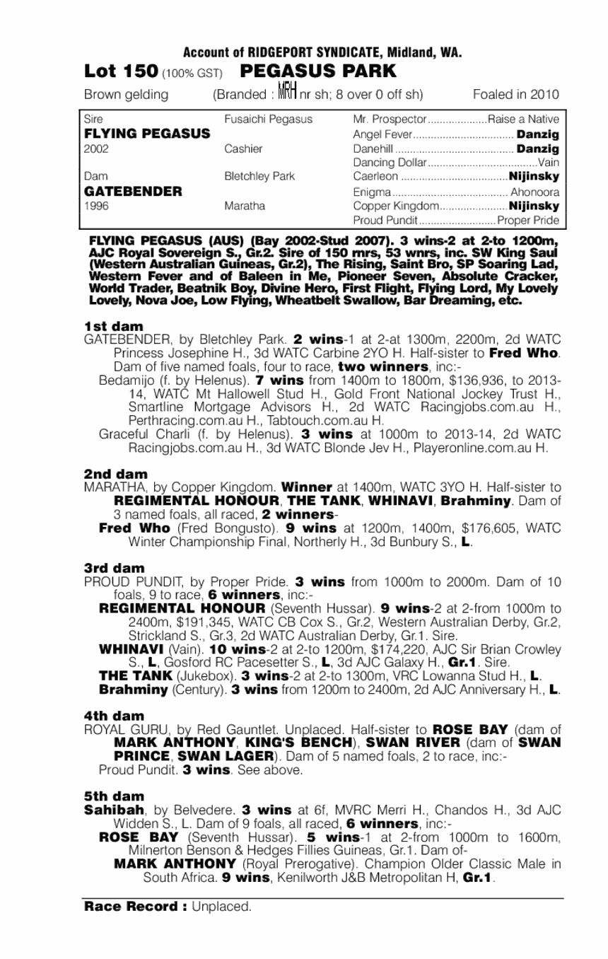 Pegasus Park (AUS) - pedigree