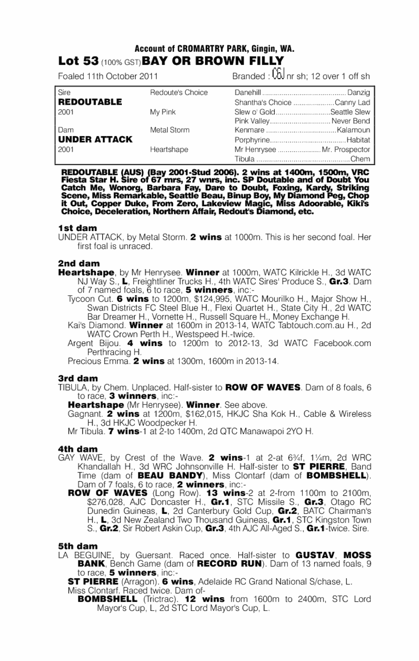 Redoutable (AUS) / Under Attack (AUS) - pedigree