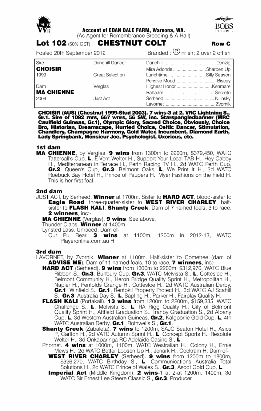 Choisir (AUS) / Ma Chienne (AUS) - pedigree