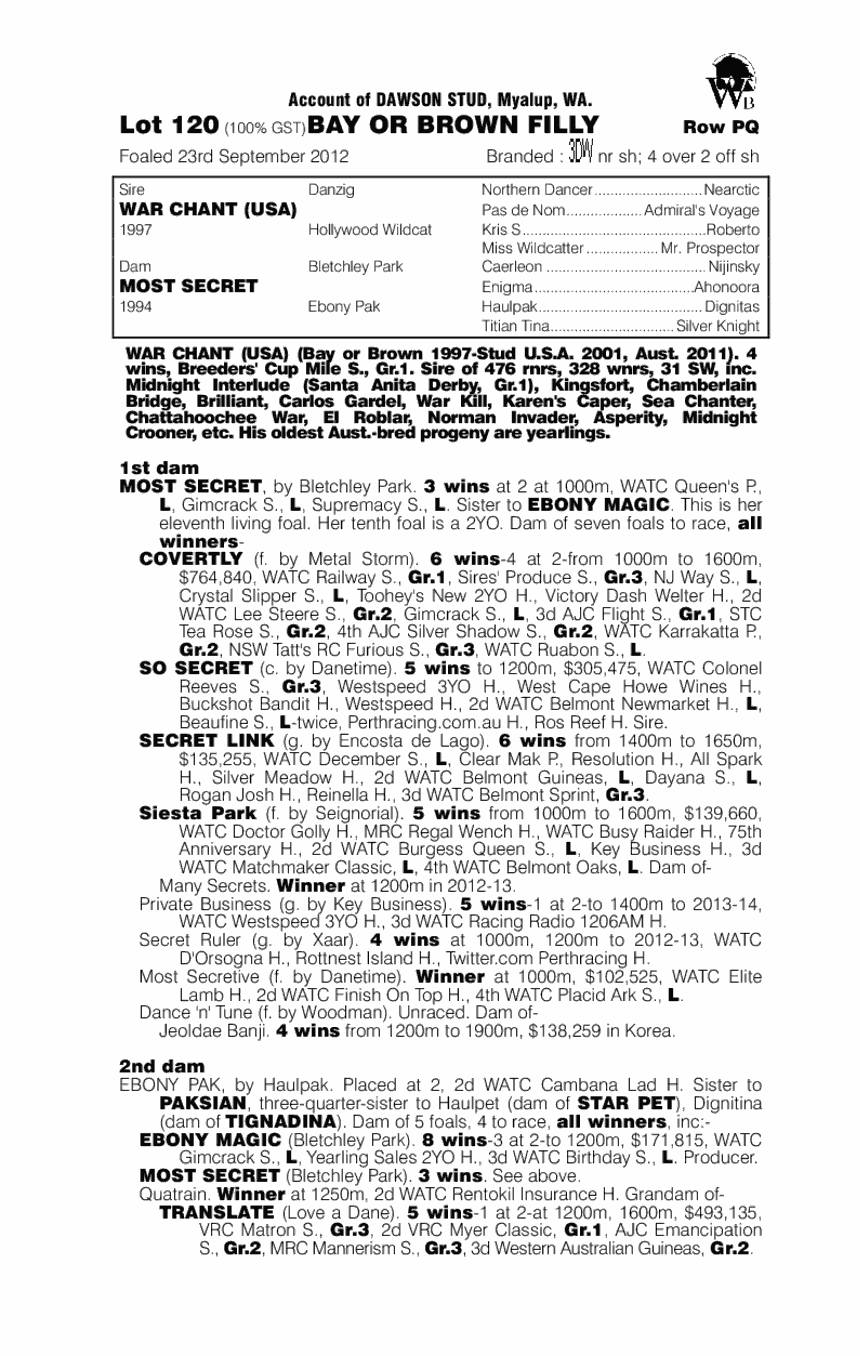 War Of Whispers (AUS) - pedigree